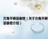 方角平屏显像管（关于方角平屏显像管介绍）