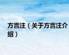 方言注（关于方言注介绍）
