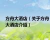 方舟大酒店（关于方舟大酒店介绍）
