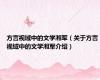 方言视域中的文学湘军（关于方言视域中的文学湘军介绍）