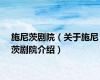施尼茨剧院（关于施尼茨剧院介绍）
