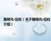 施特凡·拉杜（关于施特凡·拉杜介绍）