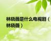 林晓薇是什么电视剧（林晓薇）