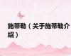 施蒂勒（关于施蒂勒介绍）