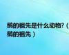 鹅的祖先是什么动物?（鹅的祖先）