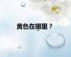 黄色在哪里？