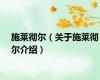 施莱彻尔（关于施莱彻尔介绍）