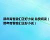 那年青春我们正好小说 免费阅读（那年青春我们正好小说）