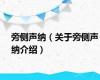 旁侧声纳（关于旁侧声纳介绍）