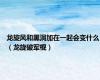 龙旋风和黑洞加在一起会变什么（龙旋破军棍）