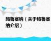 施鲁塞纳（关于施鲁塞纳介绍）