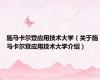 施马卡尔登应用技术大学（关于施马卡尔登应用技术大学介绍）