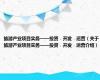 旅游产业项目实务——投资﹒开发﹒运营（关于旅游产业项目实务——投资﹒开发﹒运营介绍）