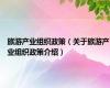 旅游产业组织政策（关于旅游产业组织政策介绍）