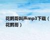 花鹩哥叫声mp3下载（花鹩哥）