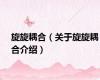 旋旋耦合（关于旋旋耦合介绍）