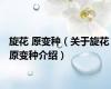 旋花 原变种（关于旋花 原变种介绍）