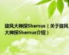 旋风大神探Shamus（关于旋风大神探Shamus介绍）