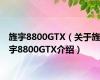 旌宇8800GTX（关于旌宇8800GTX介绍）