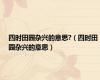 四时田园杂兴的意思?（四时田园杂兴的意思）