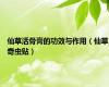 仙草活骨膏的功效与作用（仙草奇虫贴）