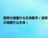 雷劈火烧是什么生肖数字（雷劈火烧是什么生肖）