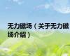 无力磁场（关于无力磁场介绍）