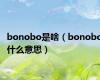 bonobo是啥（bonobo什么意思）