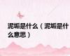 泥垢是什么（泥垢是什么意思）