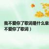 我不爱你了歌词是什么意思（我不爱你了歌词）