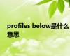 profiles below是什么意思