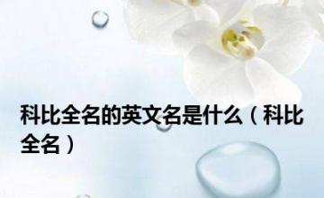 科比全名的英文名是什么（科比全名）