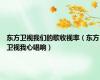 东方卫视我们的歌收视率（东方卫视我心唱响）