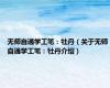 无师自通学工笔：牡丹（关于无师自通学工笔：牡丹介绍）