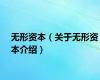 无形资本（关于无形资本介绍）