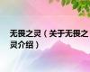 无畏之灵（关于无畏之灵介绍）