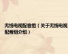 无线电视配音组（关于无线电视配音组介绍）