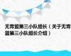 无胄盟第三小队组长（关于无胄盟第三小队组长介绍）
