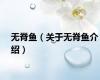 无脊鱼（关于无脊鱼介绍）