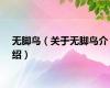 无脚鸟（关于无脚鸟介绍）