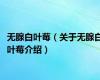 无腺白叶莓（关于无腺白叶莓介绍）