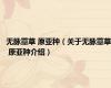 无脉薹草 原亚种（关于无脉薹草 原亚种介绍）