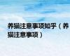 养猫注意事项知乎（养猫注意事项）