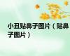 小丑贴鼻子图片（贴鼻子图片）