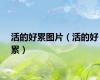 活的好累图片（活的好累）