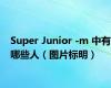 Super Junior -m 中有哪些人（图片标明）