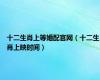 十二生肖上等婚配官网（十二生肖上映时间）