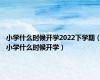 小学什么时候开学2022下学期（小学什么时候开学）