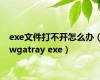 exe文件打不开怎么办（wgatray exe）