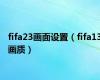 fifa23画面设置（fifa13画质）